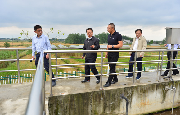 细化行动、凝聚合力，扎实推动环巢湖流域水环境综合治理——省长李国英一行调研长临河镇污水处置厂